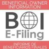 BOI E FILING