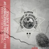 Florida Department of Juvenile Justice