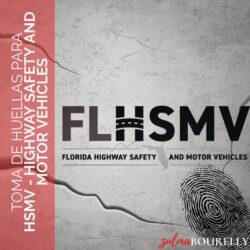 Highway Safety and Motor Vehicles